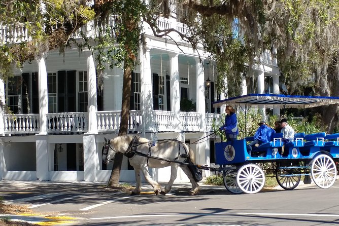 #1 Historical Horse Drawn Carriage Tour - Old Point, where the architecture slows you down