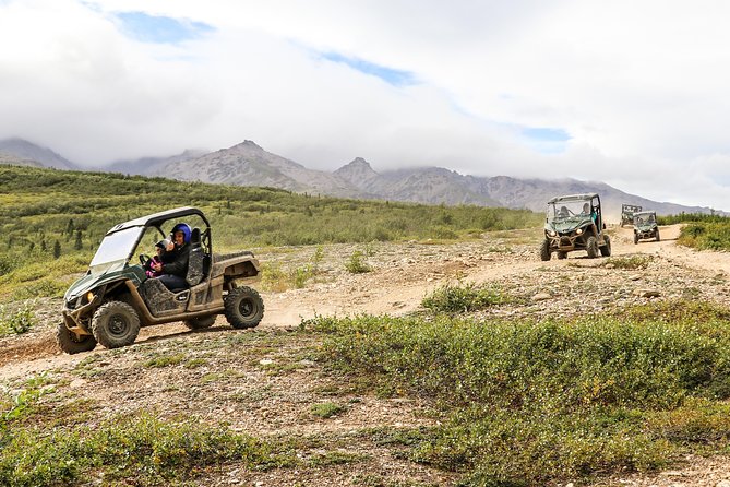 2.5-Hour Denali Wilderness ATV Adventure Tour - Choosing a single ATV or side-by-side