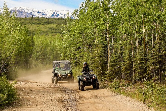 2.5-Hour Denali Wilderness ATV Adventure Tour - The trail: forest, rocks, mud, and water