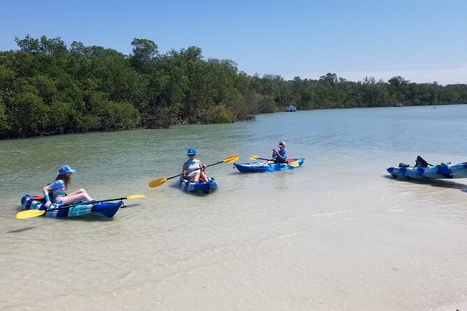 2.5-Hour Guided Group Kayak Tour on Big Hickory Pass - Kayak, SUP, and included equipment