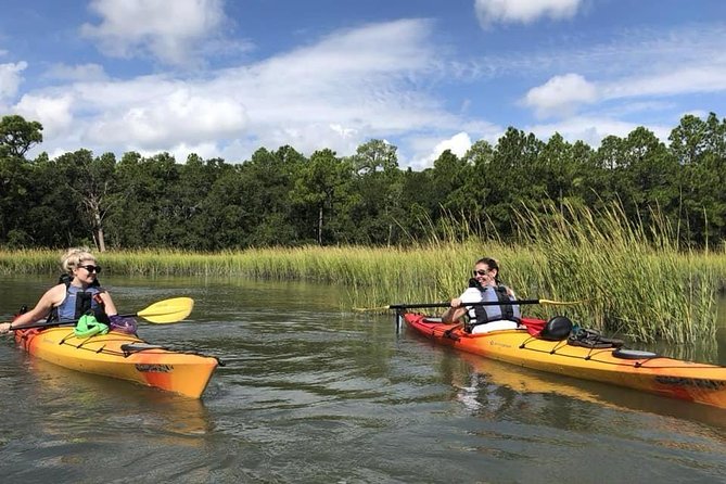 2-Hour Guided Kayak Eco Tour in Charleston - Wildlife sightings in the saltmarsh