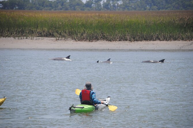 2-Hour Guided Kayak Eco Tour in Charleston - Guides shape the day