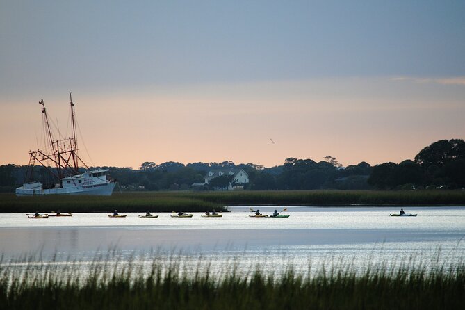 2-Hour Guided Kayak Eco Tour in Charleston - Group size, timing, and value