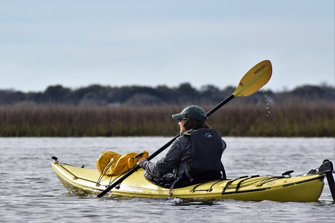 2-Hour Guided Kayak Eco Tour in Charleston - A two-hour route through tidal creeks
