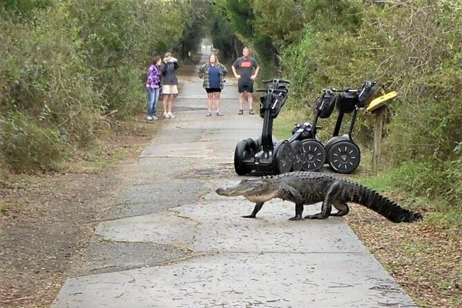 2-Hour Guided Segway Tour of Huntington Beach State Park in Myrtle Beach - Atalaya Castle adds a second kind of history