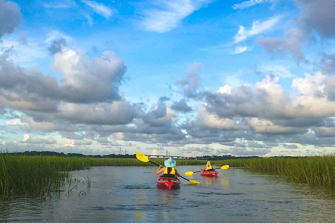 2-Hour Hilton Head Guided Kayak Nature Tour - Why Broad Creek Is the Right Setting