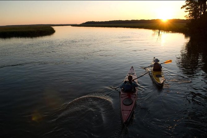 2-Hour Hilton Head Guided Kayak Nature Tour - Exploring the Salt Marsh and Tidal Creeks
