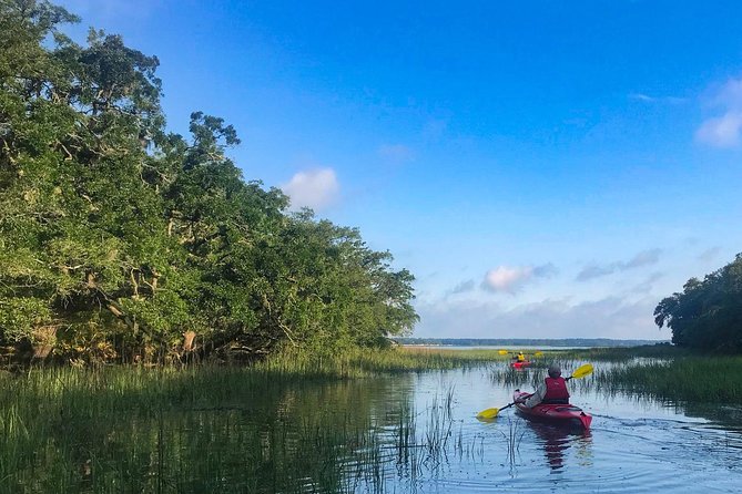 2-Hour Hilton Head Guided Kayak Nature Tour - Dolphins and Other Wildlife Sightings
