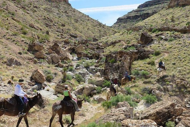 2-Hour Horseback Riding through Red Rock Canyon - Leaving Las Vegas for Red Rock Canyon