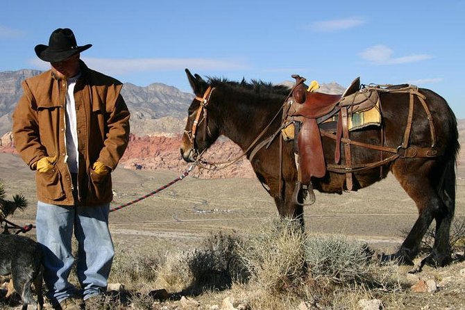 2-Hour Horseback Riding through Red Rock Canyon - Guides who make the ride work