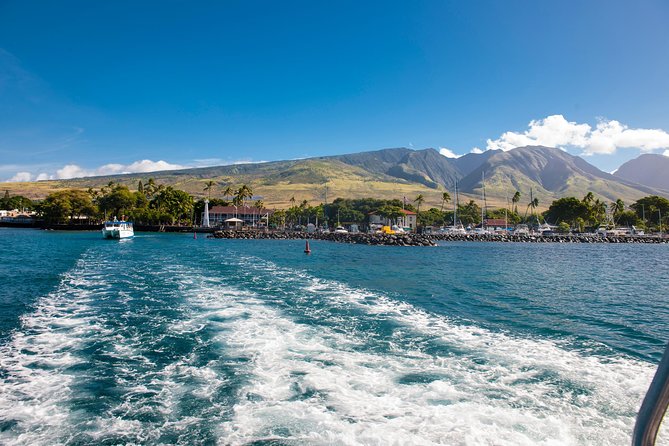 2-Hour Oahu Whale Watch from Ala Wai Harbor, Waikiki - Waikiki Beach and Diamond Head from offshore