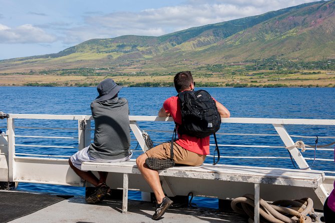 2-Hour Oahu Whale Watch from Ala Wai Harbor, Waikiki - What whale sightings can really look like