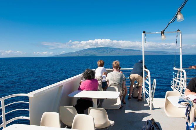 2-Hour Oahu Whale Watch from Ala Wai Harbor, Waikiki - The hydrophone adds sound to the show