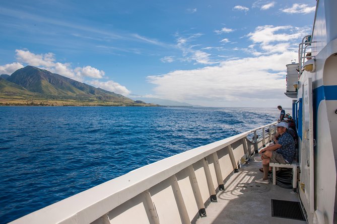 2-Hour Oahu Whale Watch from Ala Wai Harbor, Waikiki - Is $49.95 a good value?