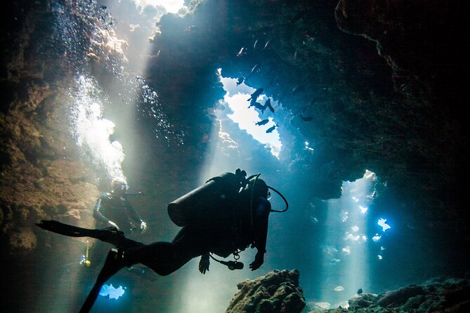 2 Tank Lanai Cathedral Scuba Dive Via Boat for Certified Divers - Key Details Before You Commit