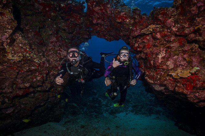 2 Tank Lanai Cathedral Scuba Dive Via Boat for Certified Divers - Second Site: The Main Cathedral Experience