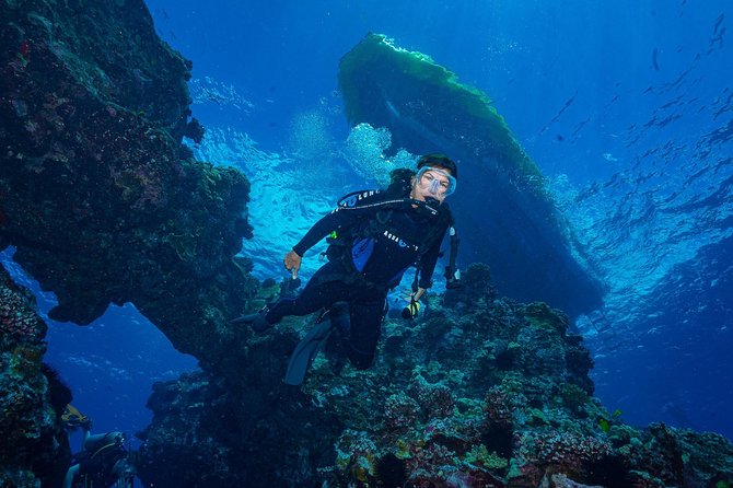 2 Tank Lanai Cathedral Scuba Dive Via Boat for Certified Divers - A Crew That Focuses on Safety