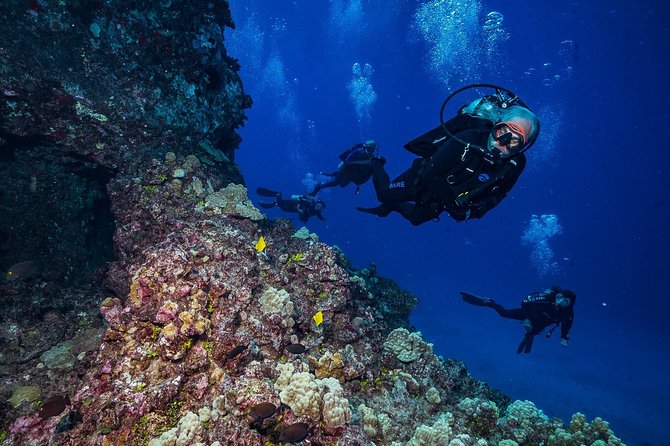 2 Tank Lanai Cathedral Scuba Dive Via Boat for Certified Divers - Who Will Get the Most From This Trip?