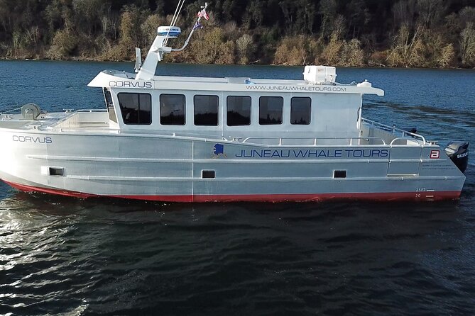 3.5 Hour Crowd-Skipping Whale Tour in Juneau, Alaska - Key points to know before booking