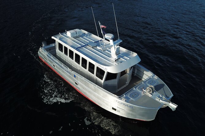 3.5 Hour Crowd-Skipping Whale Tour in Juneau, Alaska - Why the small boat changes the whale-watching experience