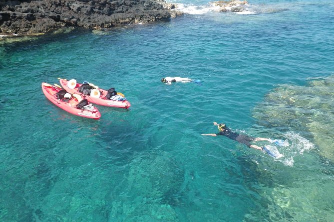 3.5 Hour Kailua-Kona Ocean Kayak and Snorkel Tour - Key details before you book