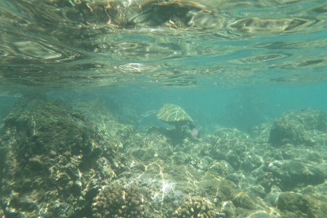 3.5 Hour Kailua-Kona Ocean Kayak and Snorkel Tour - What to bring for a smoother morning