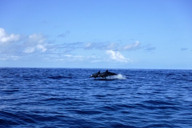 3.5 Hour Kailua-Kona Ocean Kayak and Snorkel Tour - Who should choose this Kona kayak tour?