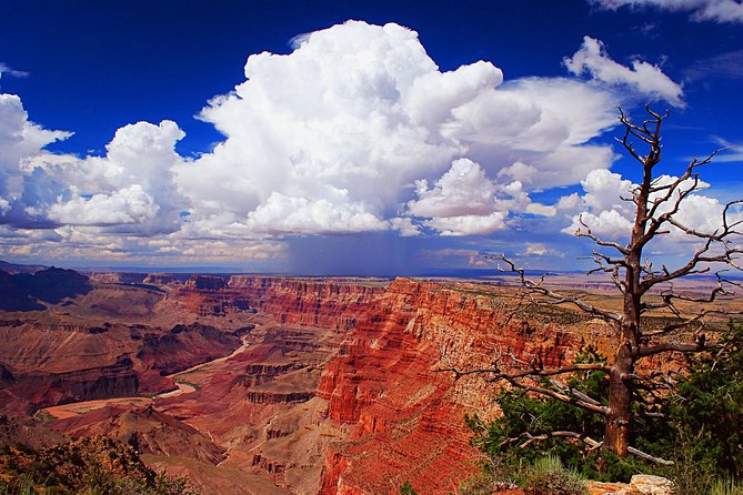 3 Hour Back-Road Safari to Grand Canyon with Entrance Gate By-Pass at 9:30 am - Who will like this three-hour safari most?