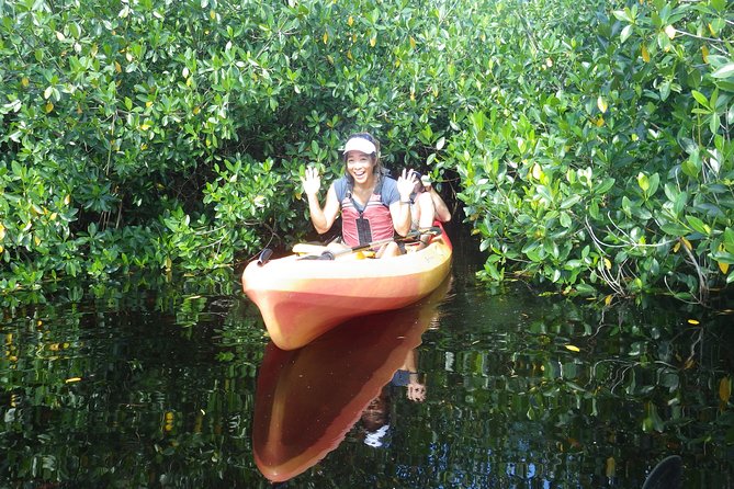 3 Hour Guided Mangrove Tunnel Kayak Eco Tour - What the guide adds to the experience