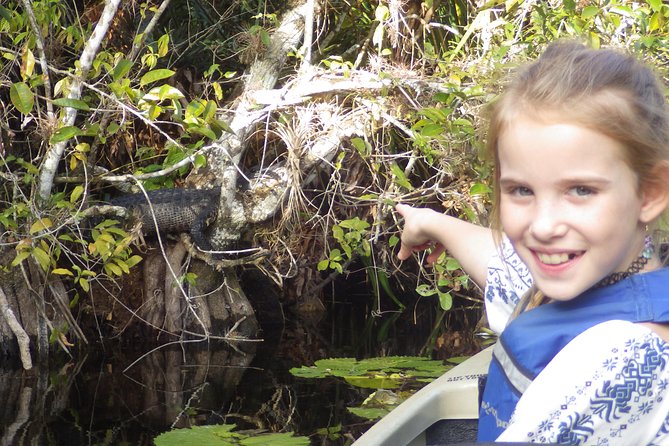 3 Hour Guided Mangrove Tunnel Kayak Eco Tour - Practical advice for a smoother paddle