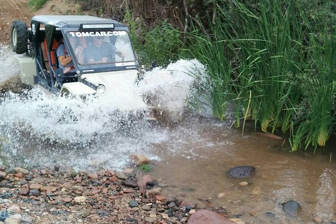 3 Hour Guided TomCar ATV Experience in Sonoran Desert - What kind of desert outing is this?