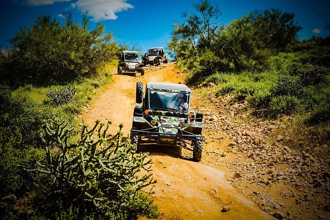 3 Hour Guided TomCar ATV Experience in Sonoran Desert - Mountain views and rough trail sections