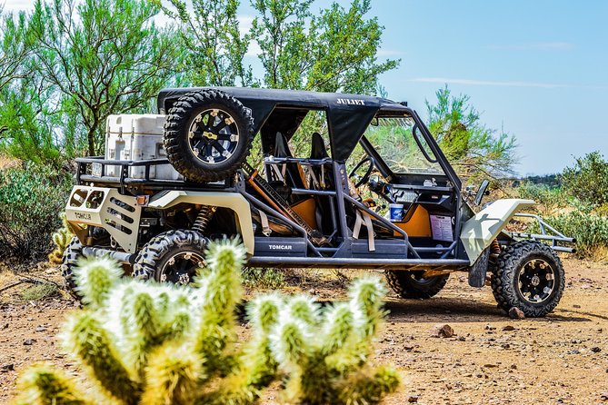 3 Hour Guided TomCar ATV Experience in Sonoran Desert - Morning or afternoon: choosing your departure