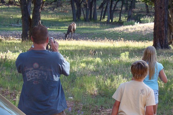 3 Hour Off-Road Sunset Safari to Grand Canyon with Entrance Gate Detour - Wildlife, from elk to wild horses