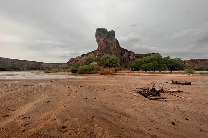 3-hour Private Tour - The guides are the heart of the experience