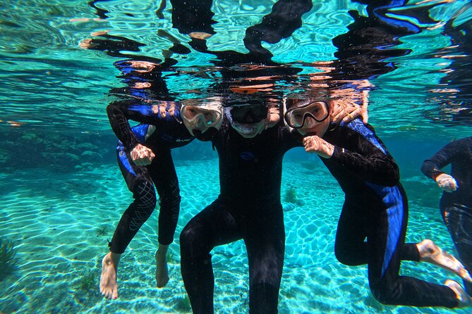 3 hours Manatee Swim Tour in Florida - Three Sisters Springs and the crowd question