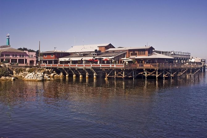 4 Hour Whale Watching Tour From Monterey - Leaving Old Fisherman’s Wharf at 9 a.m.