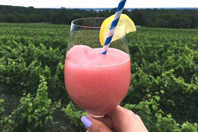 5-Hour Traverse City Wine Tour: 4 Wineries on Old Mission Peninsula - Stop Four: Bonobo Winery and a Strong Snack Selection