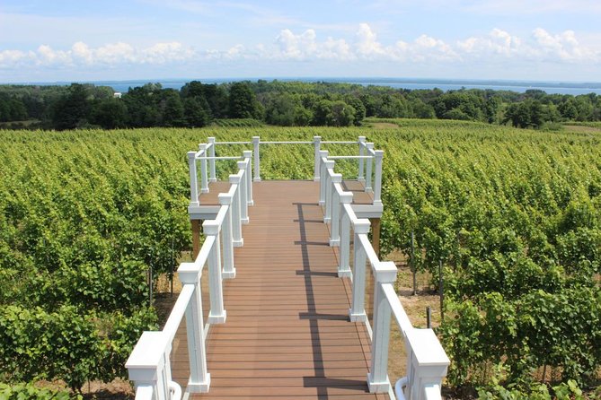 5-Hour Traverse City Wine Tour: 4 Wineries on Old Mission Peninsula - The Right Pace, With Some Limits