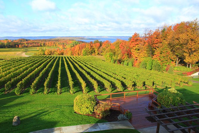 5-Hour Traverse City Wine Tour: 4 Wineries on Old Mission Peninsula - Stop Two: Bowers Harbor Vineyards and Broad Wine Choices
