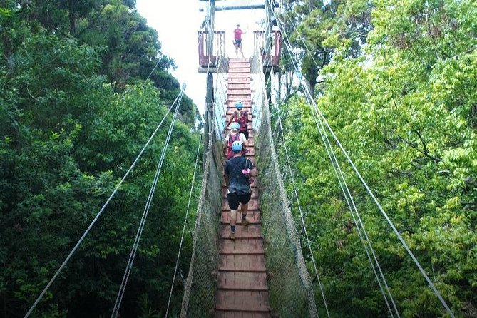 6 Dual-Zipline Mountain Adventure in Maui - Coastal views from the West Maui mountains