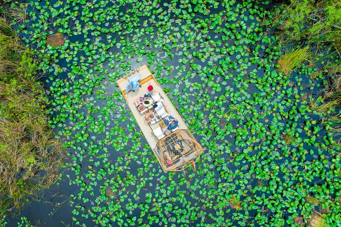 60 min. Everglades Airboat ride & pick-up ,small group +pro guide - Why this Miami tour works for a short visit