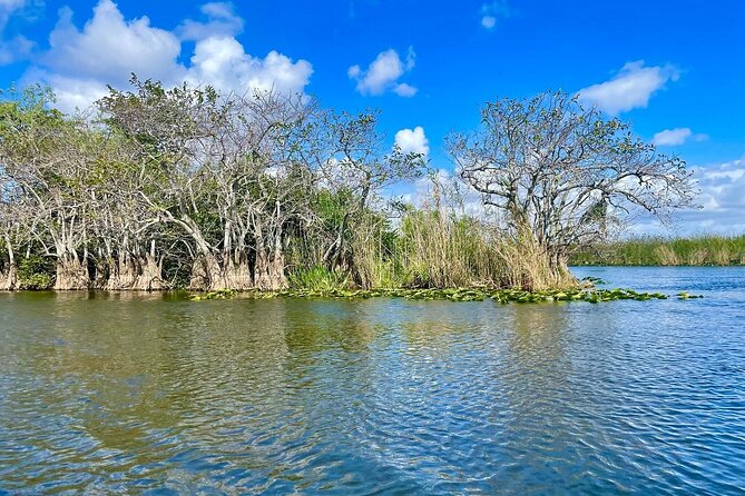 60 min. Everglades Airboat ride & pick-up ,small group +pro guide - Wildlife sightings are exciting, but never guaranteed