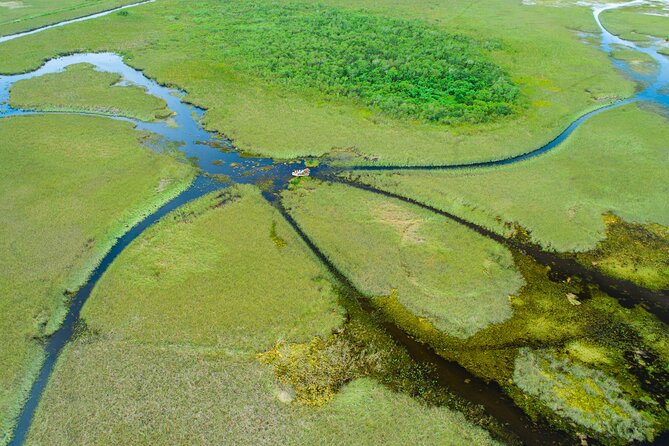 60 min. Everglades Airboat ride & pick-up ,small group +pro guide - Pickup in Miami requires careful planning