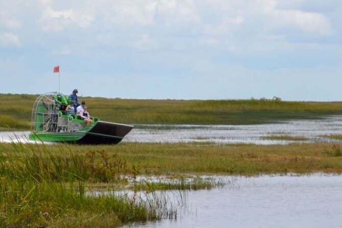 60 Minutes Small Group Everglades Airboat Ride in Miami - The Everglades beyond the alligators