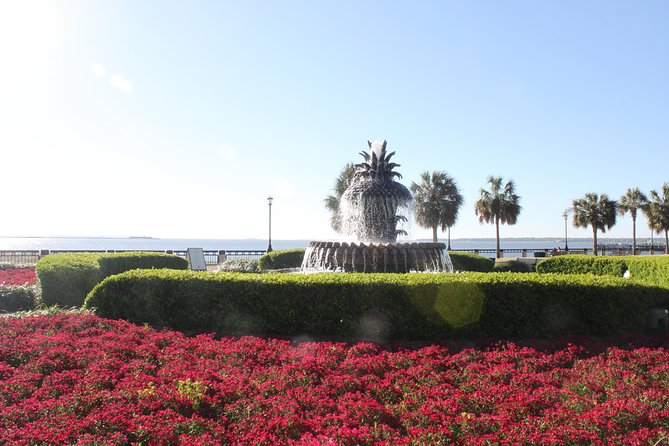 90-Minute Charleston City Sightseeing Bus Tour - Starting near Meeting Street