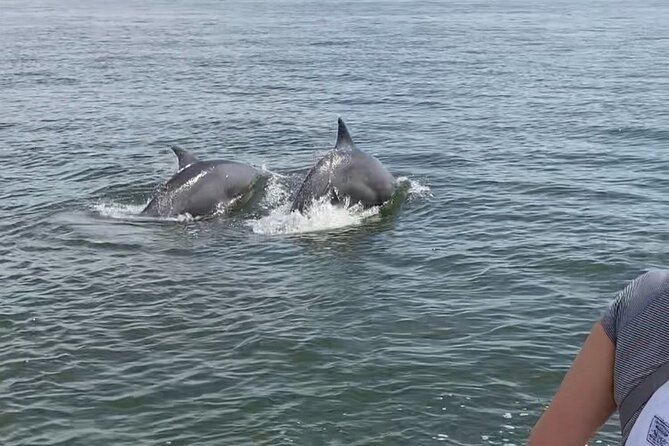 90-Minute Private Dolphin Tour in Hilton Head Island - The Lighthouse Photo Stop