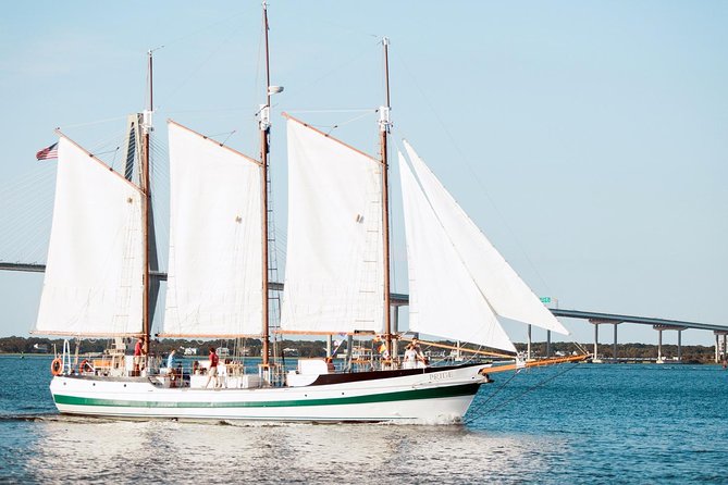 Afternoon Schooner Sightseeing Dolphin Cruise on Charleston Harbor - Patriots Point, USS Yorktown, and the Ravenel Bridge