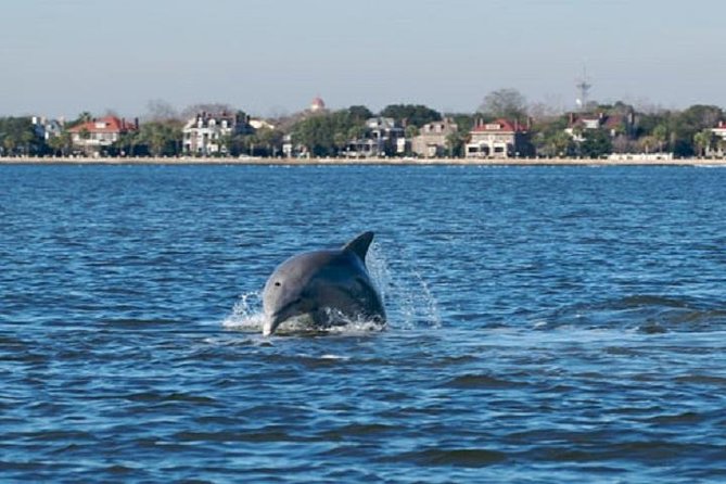 Afternoon Schooner Sightseeing Dolphin Cruise on Charleston Harbor - Fort Sumter and the Battery from the harbor