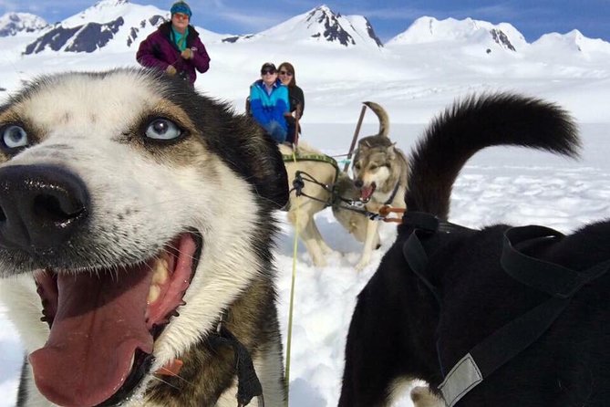 Alaska Helicopter and Glacier Dogsled Tour - ANCHORAGE AREA - Key details before you book